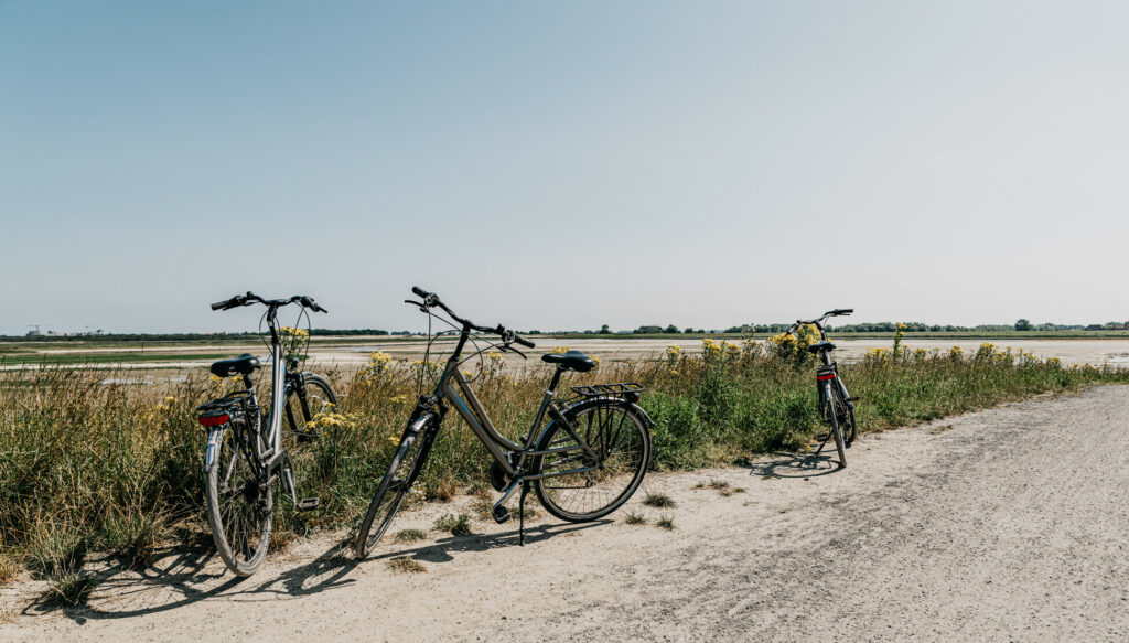 fietsvakantie zalig aan zee